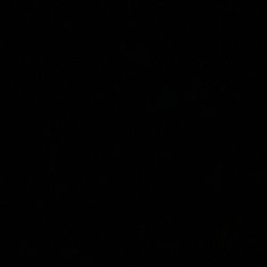 Meet your Posher, Andruss